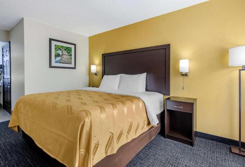 Номер Стандарт Кровать Кинг Адаптированный для Инвалидов, Quality Inn Verona  Staunton North