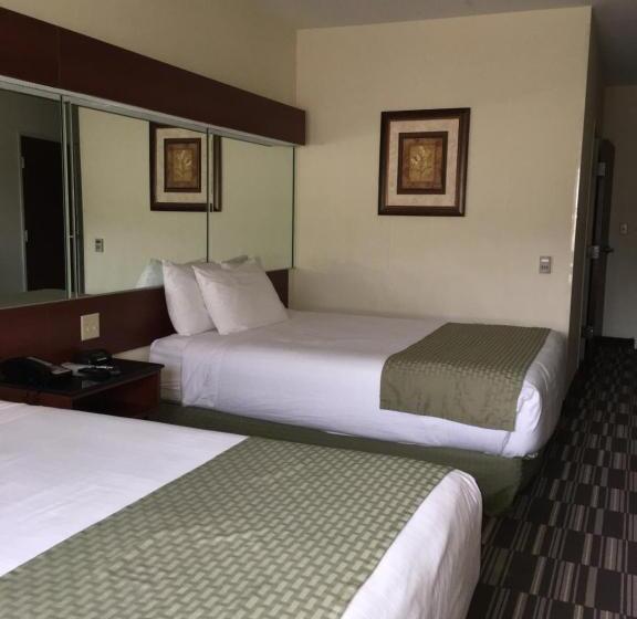 Habitación Estándar Adaptada para Discapacitados, Microtel Inn & Suites By Wyndham Indianapolis Airport