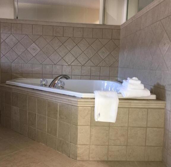 Suite Deluxe, Microtel Inn & Suites By Wyndham Indianapolis Airport