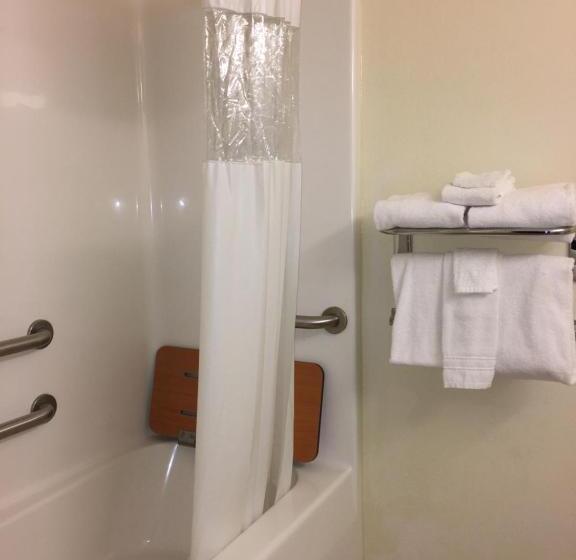 Suite Adaptada para personas con movilidad reducida, Microtel Inn & Suites By Wyndham Indianapolis Airport