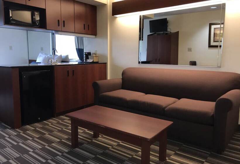 Suite, Microtel Inn & Suites By Wyndham Indianapolis Airport