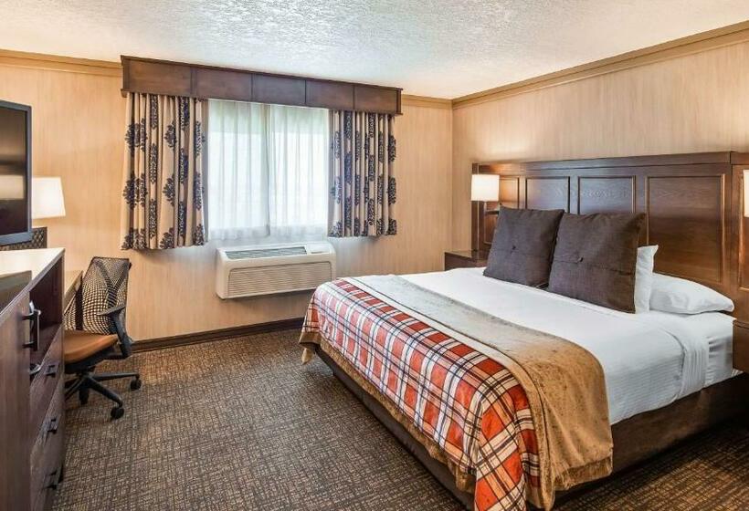 适合残疾人士使用的带超级大床的标准间, Best Western Plus Flathead Lake Inn And Suites