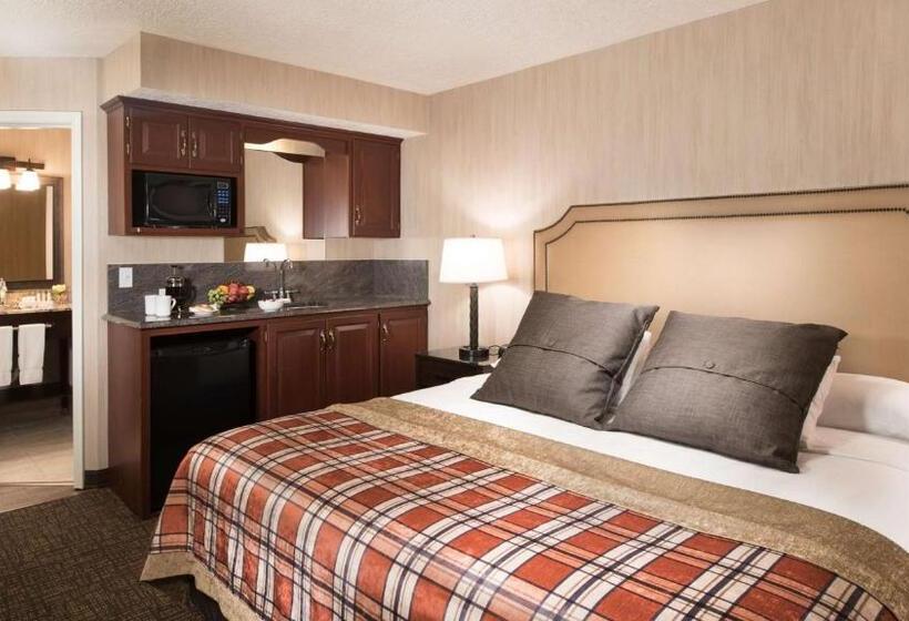 带大床的标准间, Best Western Plus Flathead Lake Inn And Suites