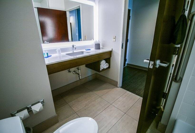 스위트, Holiday Inn Express Hotel & Suites Baton Rouge  Port Allen, An Ihg