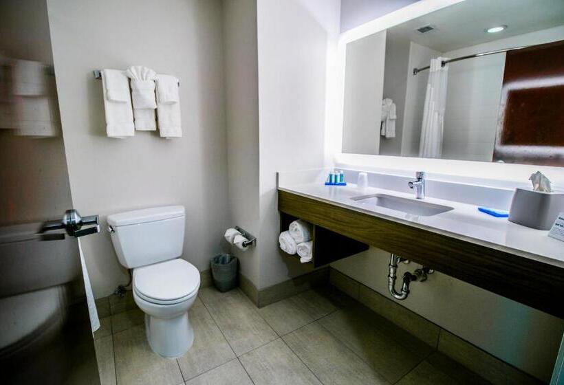 스탠다드 룸 킹사이즈 침대, Holiday Inn Express Hotel & Suites Baton Rouge  Port Allen, An Ihg