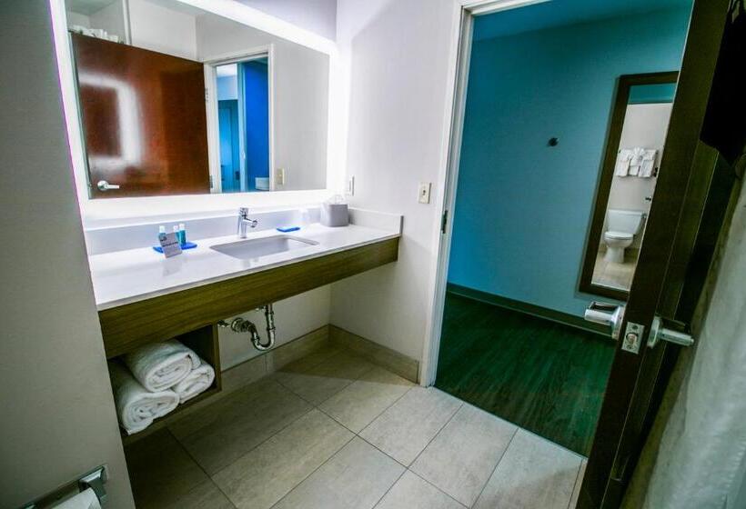 스탠다드 룸, Holiday Inn Express Hotel & Suites Baton Rouge  Port Allen, An Ihg