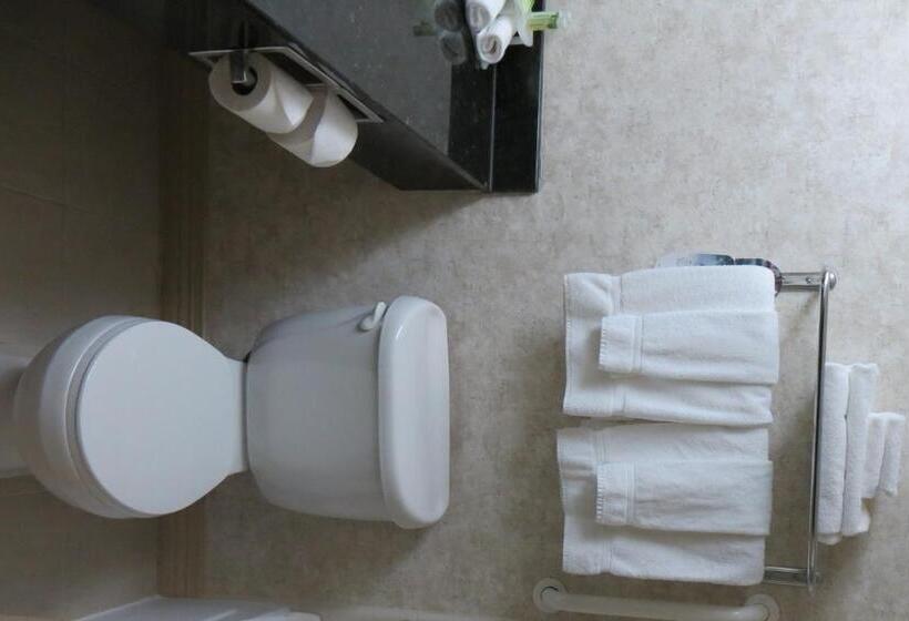 스위트, Holiday Inn Express Hotel & Suites Baton Rouge  Port Allen, An Ihg