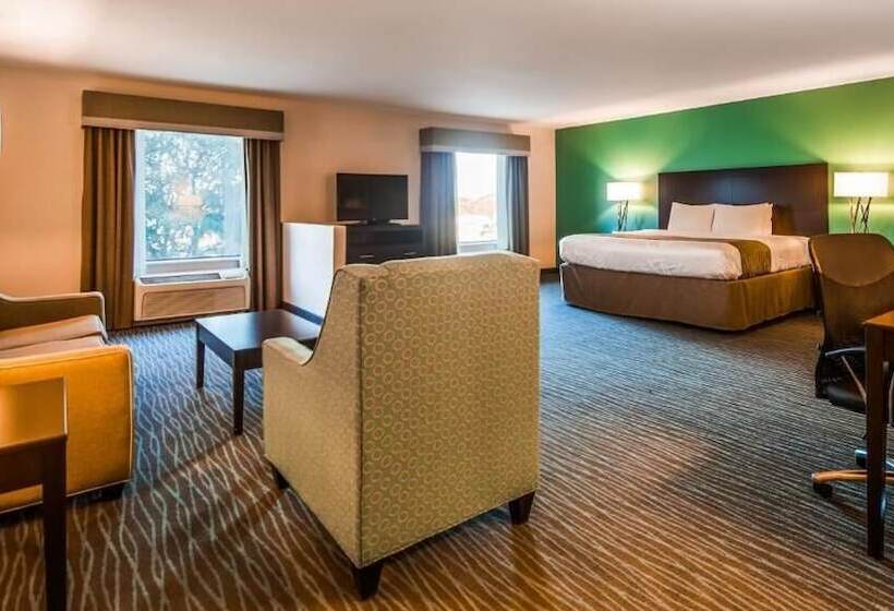 Люкс, Ramada By Wyndham Burkburnett / Wichita Falls