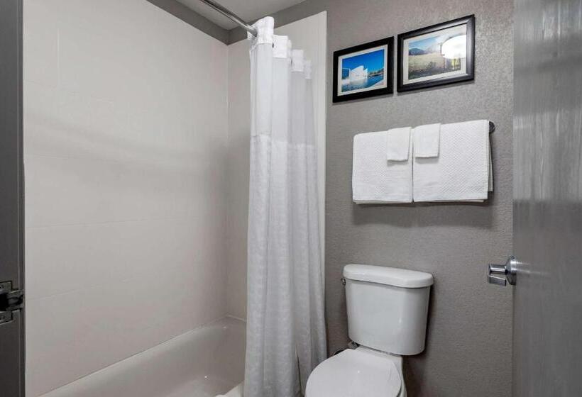 스탠다드 룸, Comfort Inn & Suites