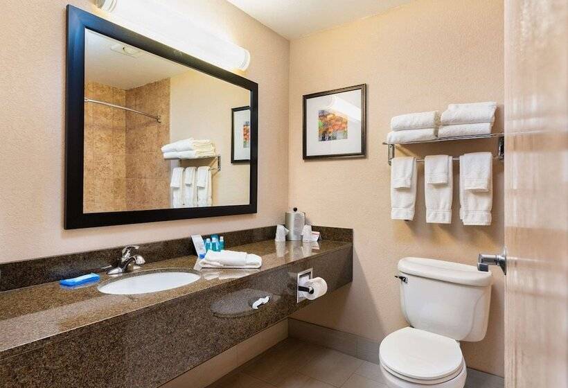 Люкс, Country Inn & Suites By Radisson, South Haven, Mi