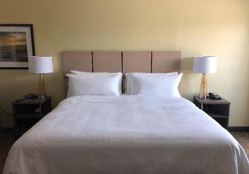 Люкс Адаптированный для Инвалидов, Holiday Inn Express Hotel & Suites Frankfort, An Ihg