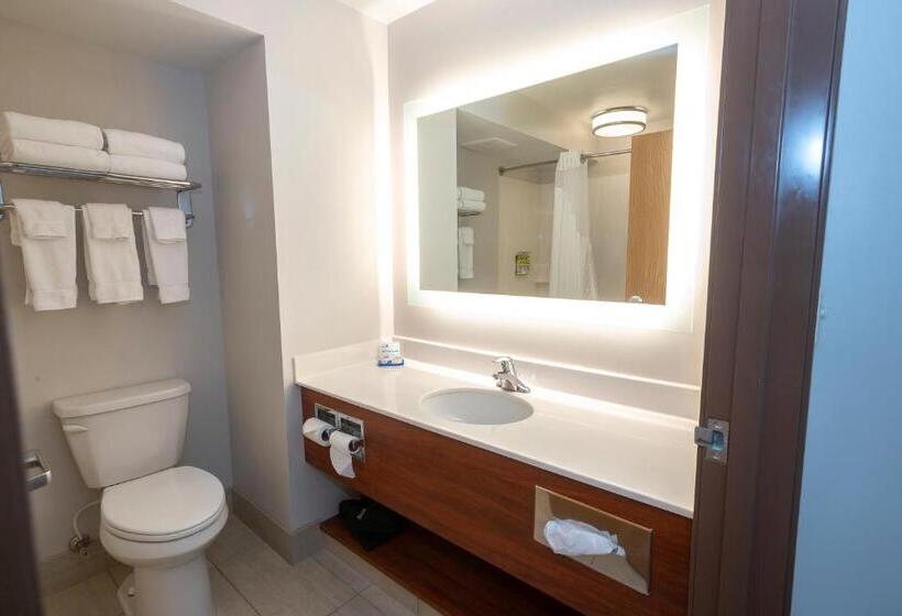 스탠다드 룸 킹사이즈 침대, Holiday Inn Express & Suites Iron Mountain, An Ihg