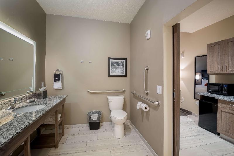 스위트 킹사이즈 침대, Holiday Inn Express Hotel & Suites Maryville, An Ihg
