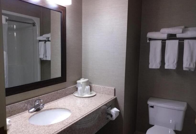 Люкс Кровать Кинг, Holiday Inn Express Hotel & Suites Waterford, An Ihg
