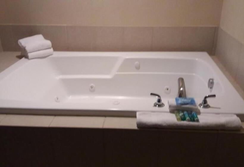 Стандартный Номер Кровать Кинг, Holiday Inn Express Hotel & Suites Waterford, An Ihg