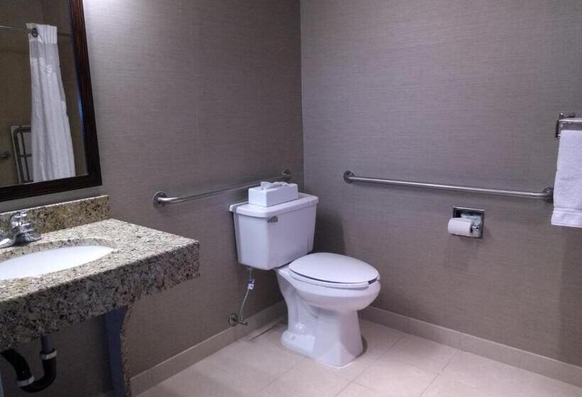 Люкс Адаптированный для Инвалидов, Holiday Inn Express Hotel & Suites Waterford, An Ihg