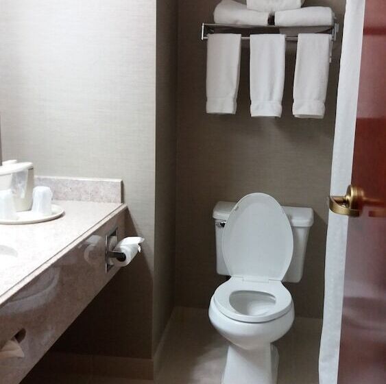 Люкс, Holiday Inn Express Hotel & Suites Waterford, An Ihg