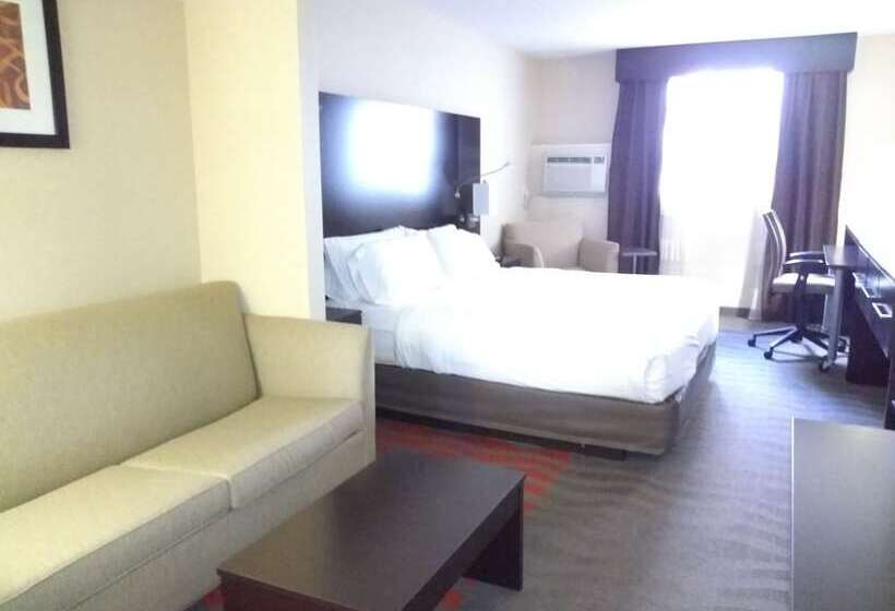 Люкс, Holiday Inn Express Hotel & Suites Waterford, An Ihg