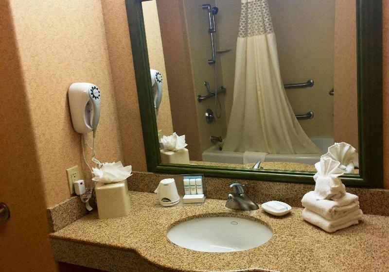 带大床的标准间, Holiday Inn Express Birch Run Frankenmuth Area, An Ihg