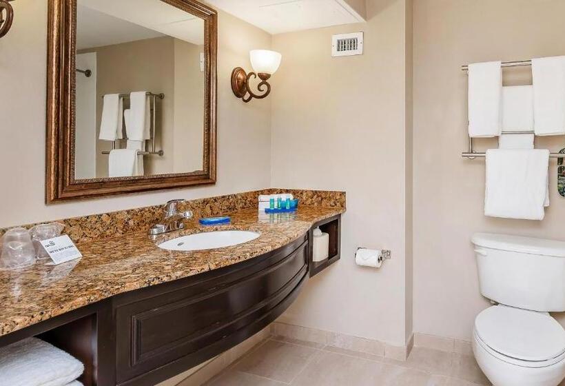 キングサイズベッドのスタンダードルーム, Holiday Inn Express & Suites Miami Kendall, An Ihg