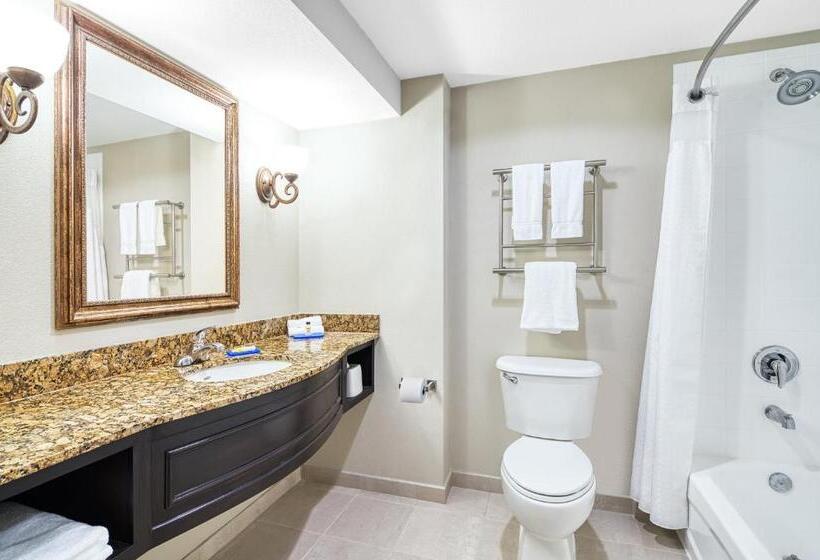 身障者適用スイートルーム, Holiday Inn Express & Suites Miami Kendall, An Ihg