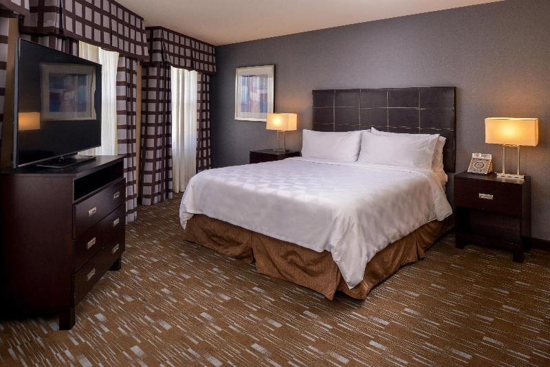스탠다드 룸 킹사이즈 침대, Holiday Inn Ontario Airport   California, An Ihg