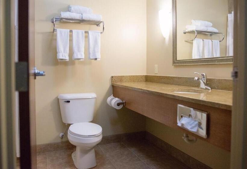 스위트 킹사이즈 침대, Holiday Inn Express Devils Lake, An Ihg