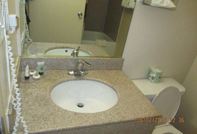디럭스 룸, Regal Inn Chicago O Hare  Franklin Park