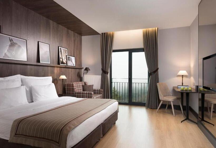 Standard Room Mountain View, Jura Hotels Ilgaz Mountain Resort