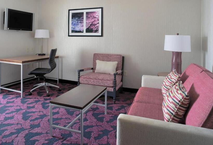 스탠다드 스튜디오 킹침대, Springhill Suites By Marriott Virginia Beach Oceanfront