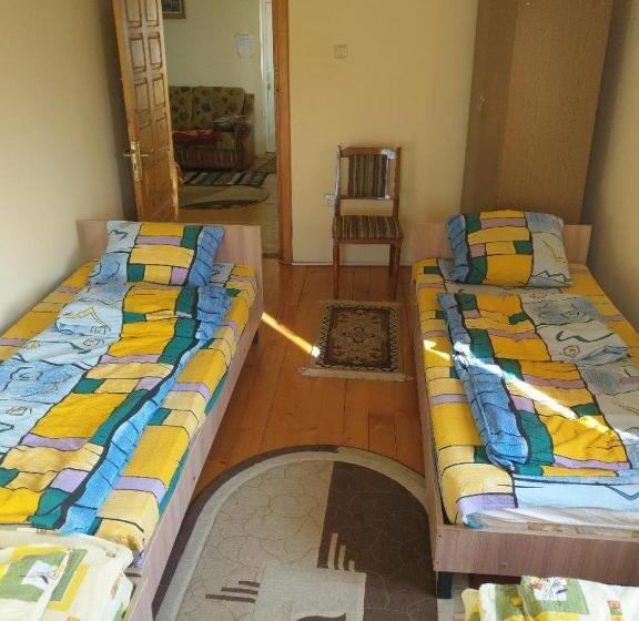 공동 객실, Lary Hostel