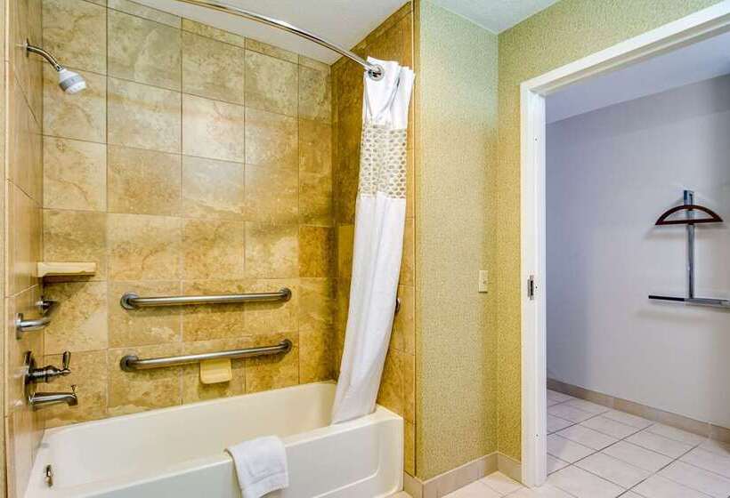 Standaardkamer met Kingsize Bed Aangepast voor Gehandicapten, Doubletree By Hilton Chicago Midway Airport