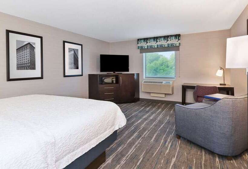 Standaardkamer met Kingsize Bed Aangepast voor Gehandicapten, Doubletree By Hilton Chicago Midway Airport