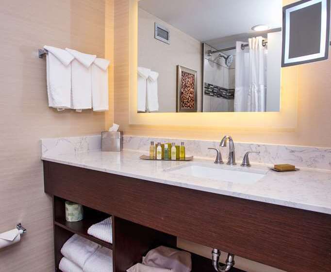 Standaardkamer met Kingsize Bed Aangepast voor Gehandicapten, Doubletree By Hilton Chicago Midway Airport