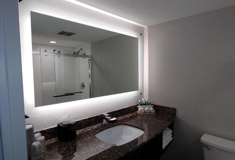 스탠다드 룸 킹사이즈 침대, Holiday Inn Express Schaumburg Rolling Meadows, An Ihg