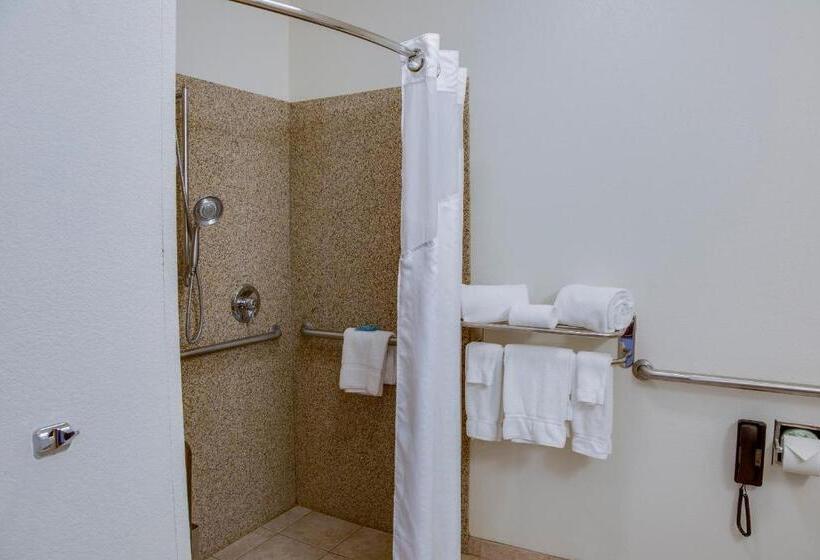 스탠다드 룸 킹사이즈 침대, Holiday Inn Express & Suites Jacksonville, An Ihg