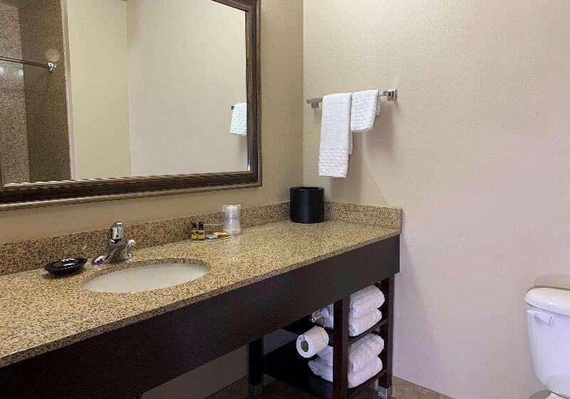 스탠다드 룸 킹사이즈 침대, Holiday Inn Express Hotel & Suites   Sumter, An Ihg