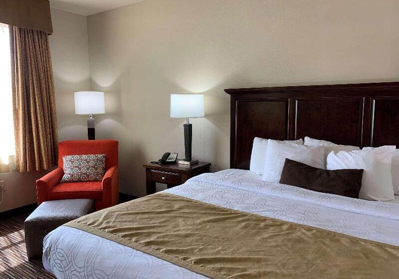 חדר סטנדרט עם מיטת קינג, Holiday Inn Express Hotel & Suites   Sumter, An Ihg