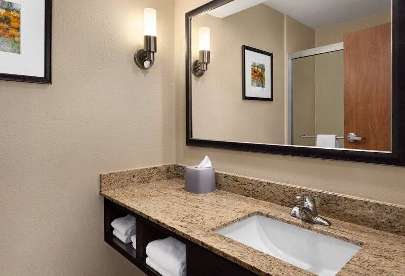 스위트, Holiday Inn Express Hotel & Suites Edmond, An Ihg