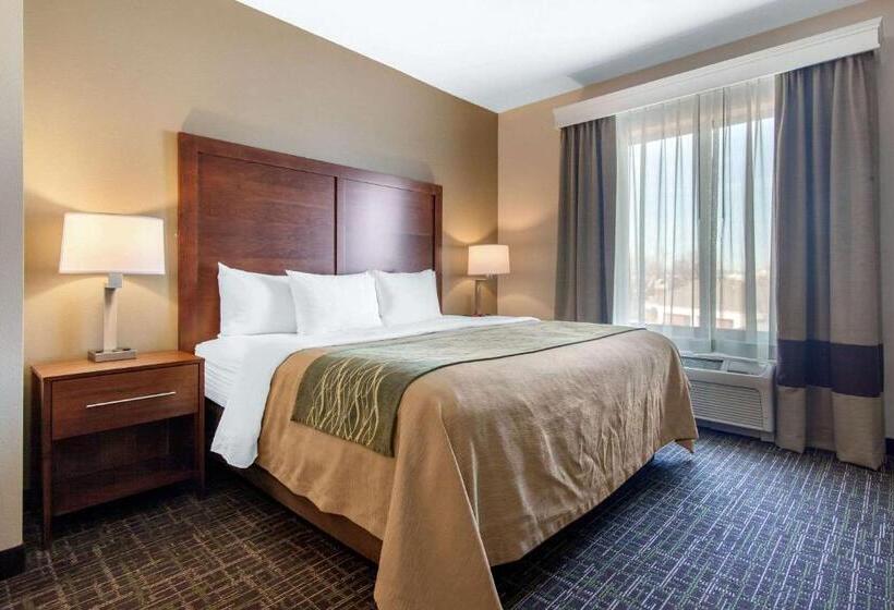 Стандартный Номер Кровать Кинг, Comfort Inn & Suites Norman Near University