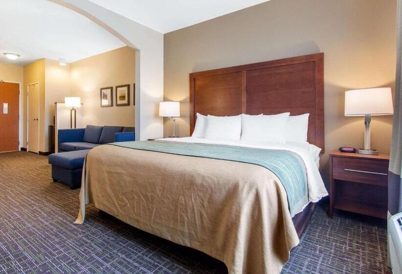 Люкс Кровать Кинг, Comfort Inn & Suites Norman Near University