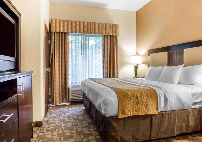 Suíte Cama King, Comfort Suites At Kennesaw State University