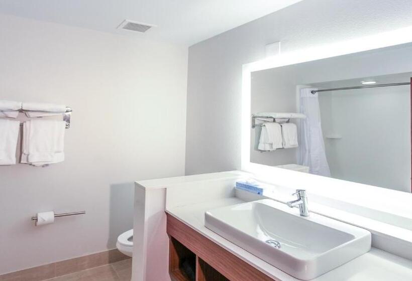 Стандартный Номер Кровать Кинг, Holiday Inn Express Daytona Beach   Speedway, An Ihg