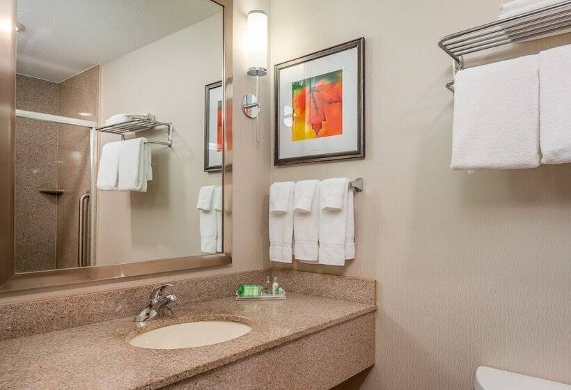 프리미엄 룸, Holiday Inn Stevens Point   Convention Center, An Ihg