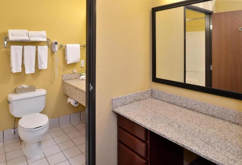 스탠다드 룸 킹사이즈 침대, Holiday Inn Stevens Point   Convention Center, An Ihg