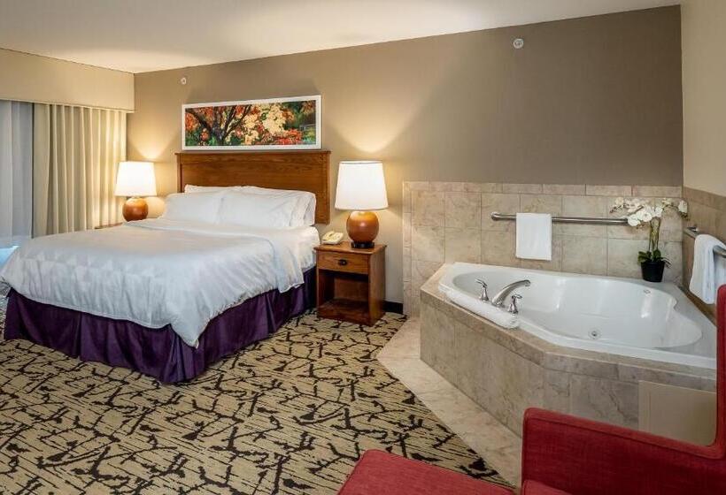 스탠다드 룸 킹사이즈 침대, Holiday Inn Stevens Point   Convention Center, An Ihg
