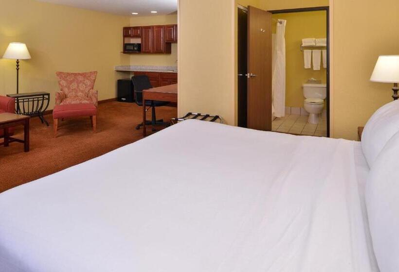 디럭스 스위트, Holiday Inn Stevens Point   Convention Center, An Ihg