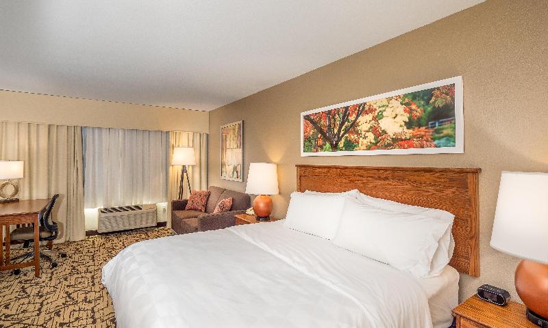 스탠다드 룸 킹사이즈 침대, Holiday Inn Stevens Point   Convention Center, An Ihg