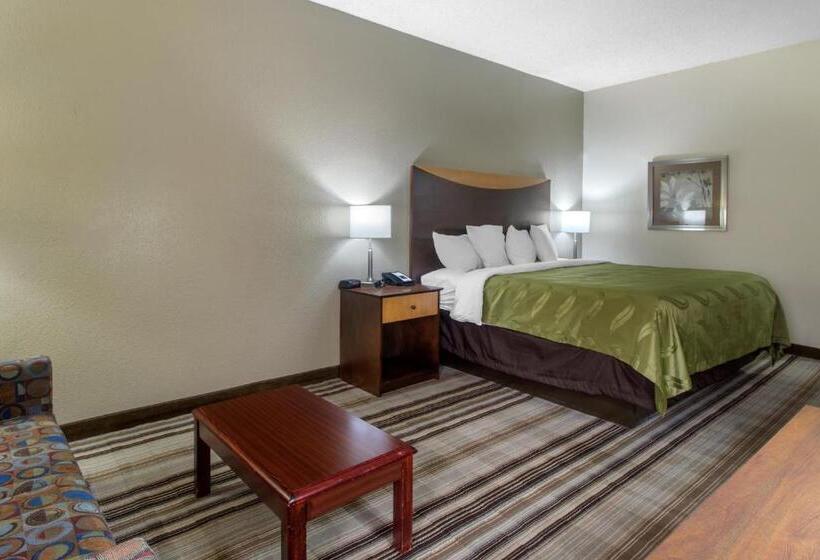 스탠다드 룸 킹사이즈 침대, Quality Inn I81 Exit 23