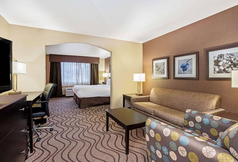Люкс, La Quinta By Wyndham Meridian / Boise West